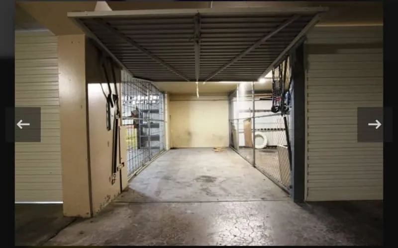 Lock Up Garage Lug, Rare, Roslyn Garden, Elizabeth Bay $130 Pw Eastern Suburbs