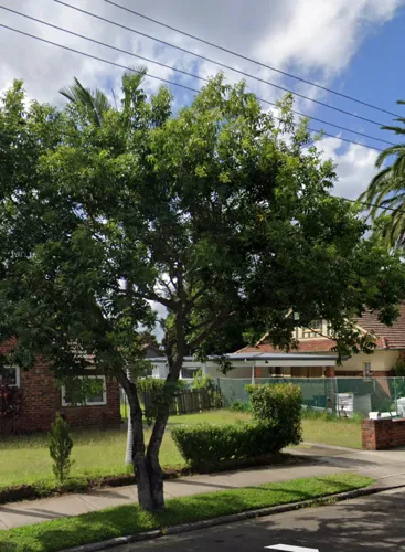 Parking For Rent - Strathfield - Driveway Parking Near Train Station