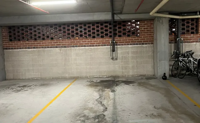 Parking For Rent - Great Parking Near Usyd Or Rpa (price Negotiable!!!) 24/7 Accessible