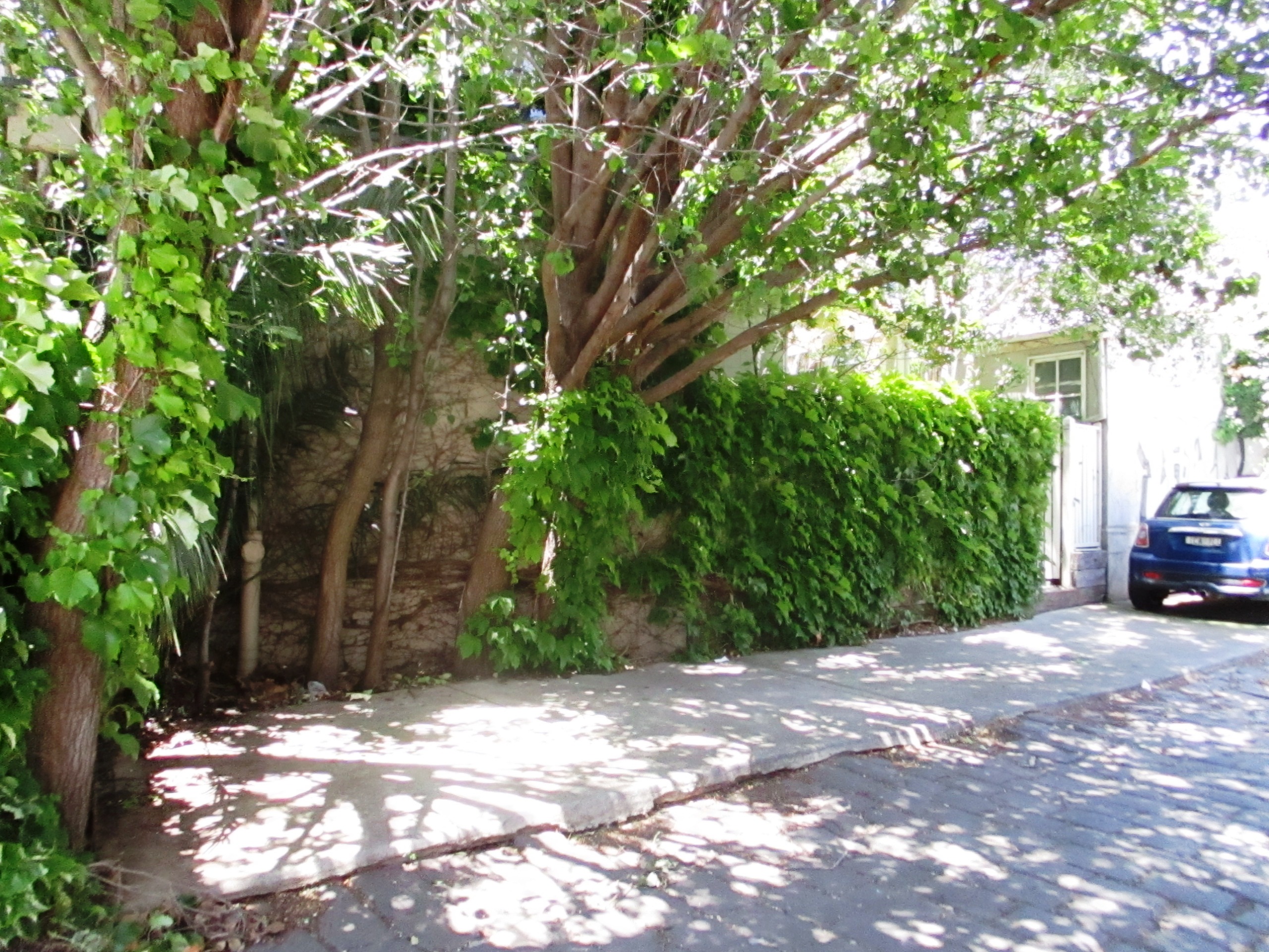 Parking For Rent - Shady Parking Under Tree In Charnwood Road St Kilda